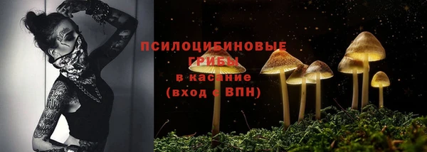 ALPHA PVP Баксан