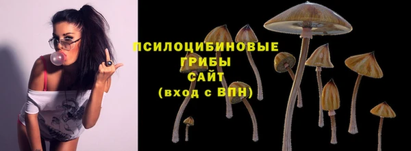 ECSTASY Балабаново