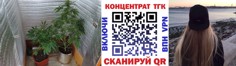 кракен вход  Безенчук  ТГК Wax 