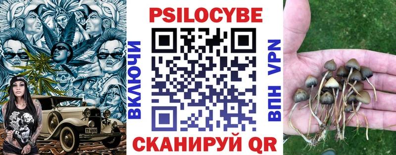 купить Безенчук Псилоцибиновые грибы Cubensis